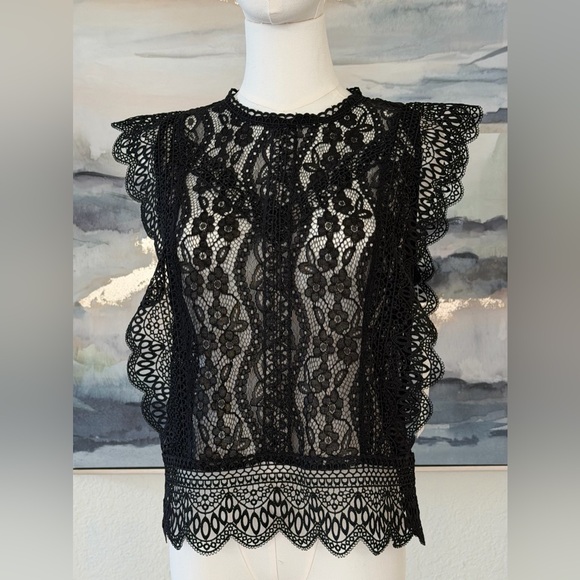 Zara Tops - NWT Zara Black Lace Top